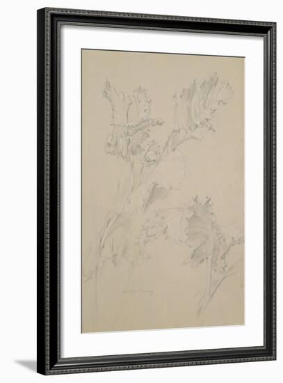 Poppy Leaves-Albert Williams-Framed Giclee Print