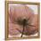 Poppy Marsala-Albert Koetsier-Framed Stretched Canvas