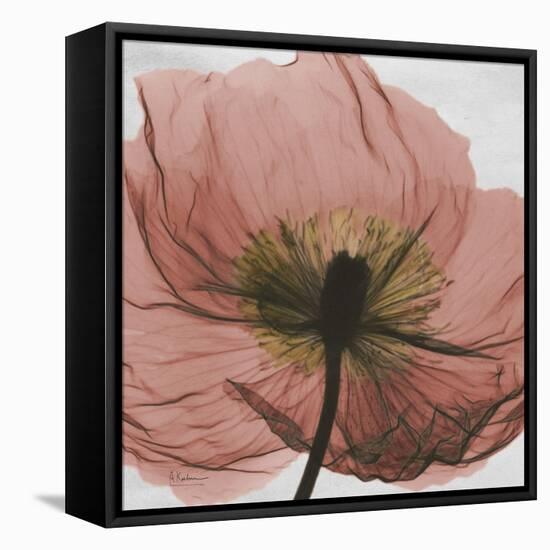 Poppy Marsala-Albert Koetsier-Framed Stretched Canvas