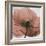 Poppy Marsala-Albert Koetsier-Framed Premium Giclee Print