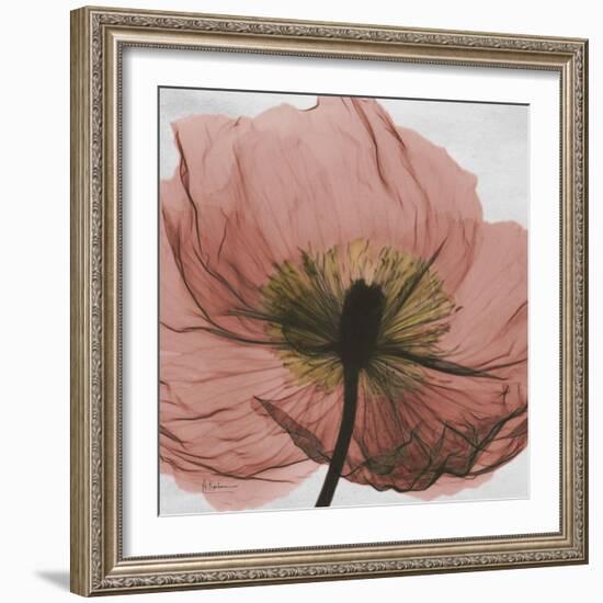 Poppy Marsala-Albert Koetsier-Framed Premium Giclee Print