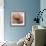 Poppy Marsala-Albert Koetsier-Framed Premium Giclee Print displayed on a wall