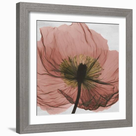 Poppy Marsala-Albert Koetsier-Framed Premium Giclee Print