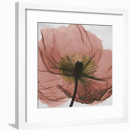 Poppy Marsala-Albert Koetsier-Framed Premium Giclee Print