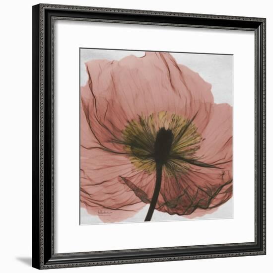 Poppy Marsala-Albert Koetsier-Framed Premium Giclee Print