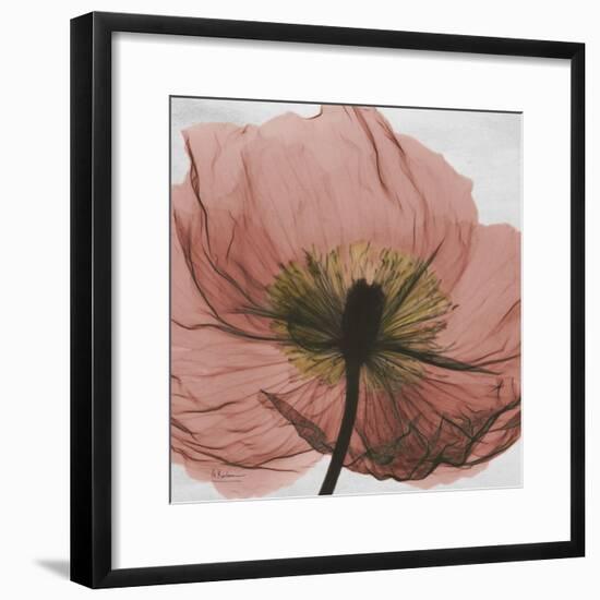 Poppy Marsala-Albert Koetsier-Framed Premium Giclee Print