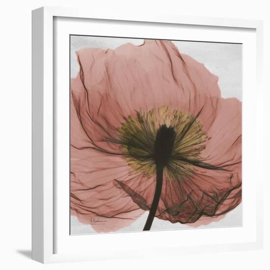 Poppy Marsala-Albert Koetsier-Framed Premium Giclee Print