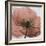 Poppy Marsala-Albert Koetsier-Framed Premium Giclee Print