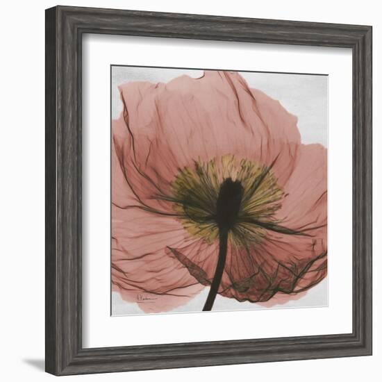 Poppy Marsala-Albert Koetsier-Framed Art Print