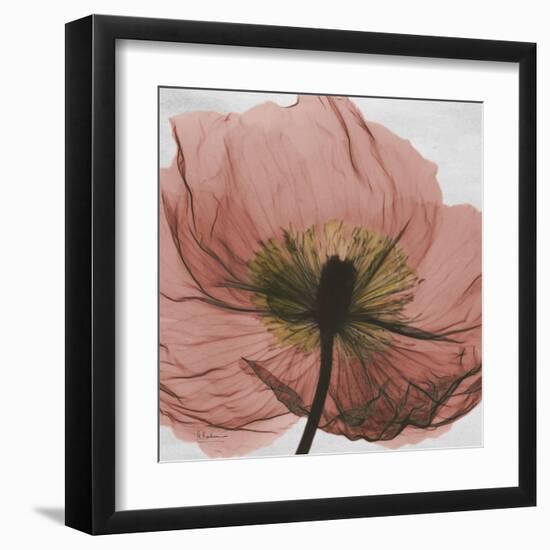 Poppy Marsala-Albert Koetsier-Framed Art Print