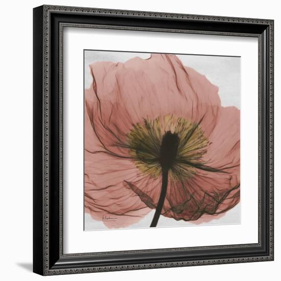 Poppy Marsala-Albert Koetsier-Framed Art Print