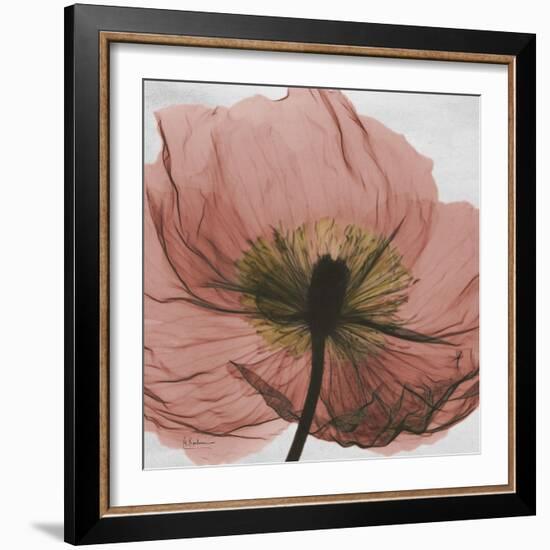 Poppy Marsala-Albert Koetsier-Framed Art Print