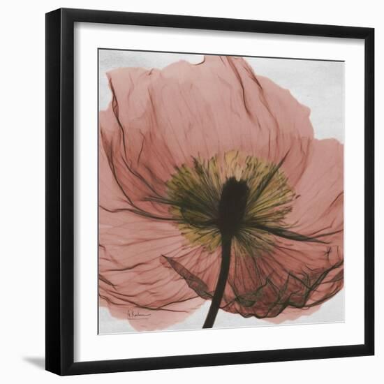 Poppy Marsala-Albert Koetsier-Framed Art Print