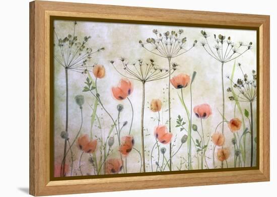 Poppy Meadow-Mandy Disher-Framed Premier Image Canvas