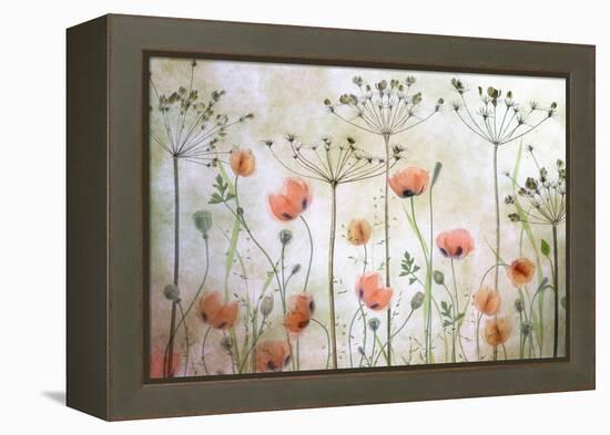 Poppy Meadow-Mandy Disher-Framed Premier Image Canvas