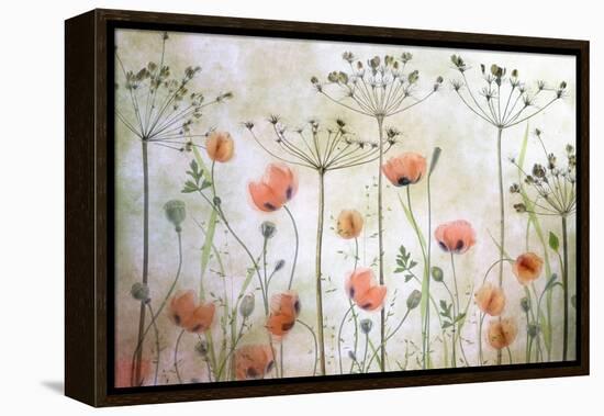 Poppy Meadow-Mandy Disher-Framed Premier Image Canvas