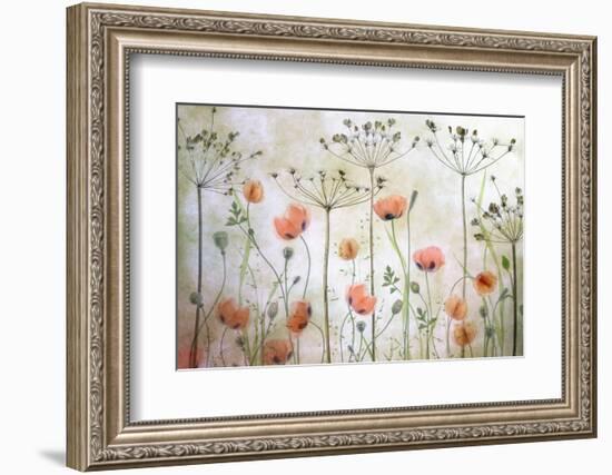 Poppy Meadow-Mandy Disher-Framed Photographic Print