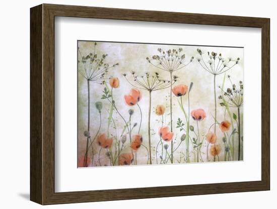 Poppy Meadow-Mandy Disher-Framed Photographic Print