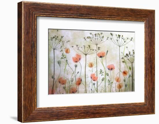 Poppy Meadow-Mandy Disher-Framed Photographic Print