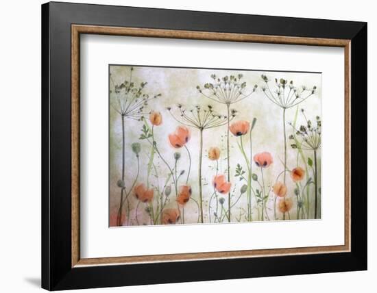 Poppy Meadow-Mandy Disher-Framed Photographic Print