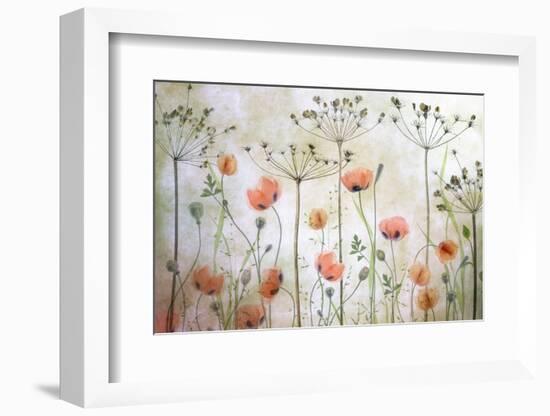 Poppy Meadow-Mandy Disher-Framed Photographic Print