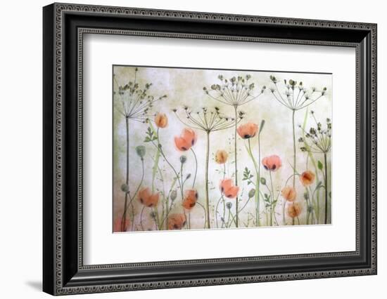 Poppy Meadow-Mandy Disher-Framed Photographic Print