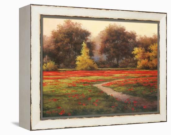 Poppy Meadows I-TC Chiu-Framed Stretched Canvas