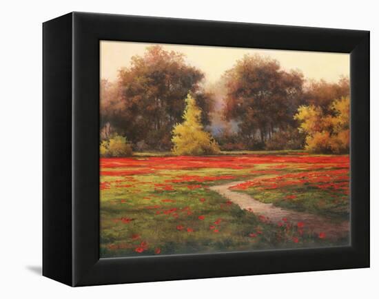Poppy Meadows I-TC Chiu-Framed Stretched Canvas