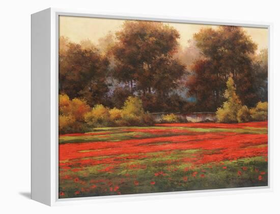 Poppy Meadows II-Tc Chiu-Framed Stretched Canvas