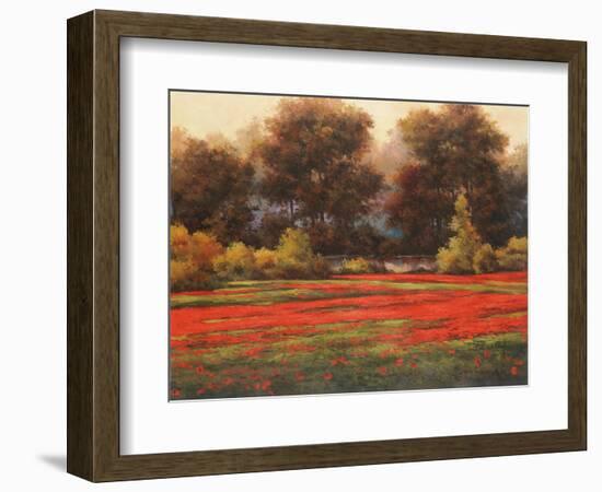 Poppy Meadows II-Tc Chiu-Framed Art Print