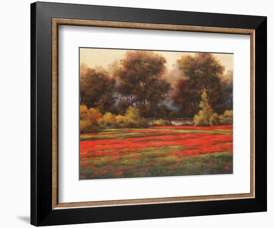 Poppy Meadows II-Tc Chiu-Framed Art Print