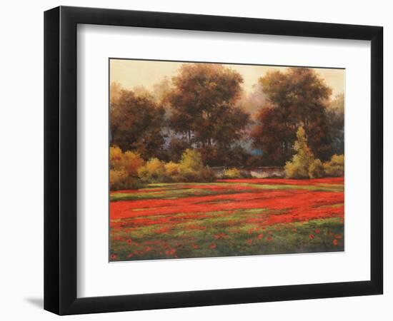 Poppy Meadows II-Tc Chiu-Framed Art Print