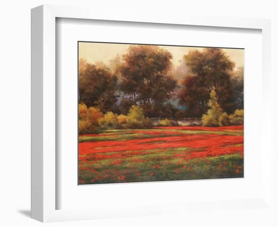 Poppy Meadows II-Tc Chiu-Framed Art Print