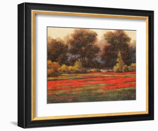 Poppy Meadows II-Tc Chiu-Framed Art Print