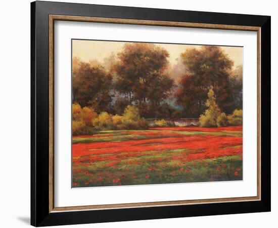 Poppy Meadows II-Tc Chiu-Framed Art Print