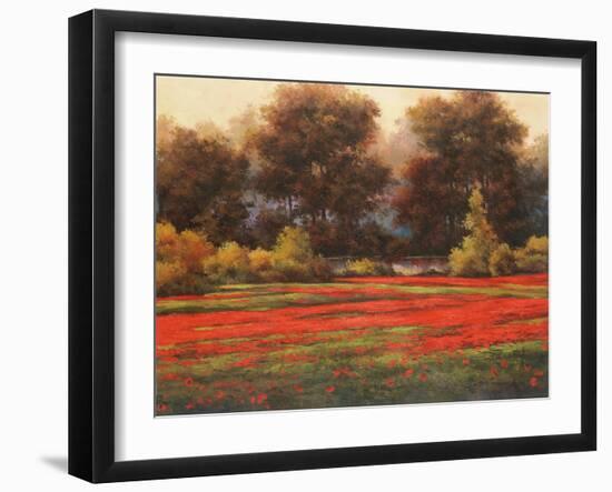 Poppy Meadows II-Tc Chiu-Framed Art Print