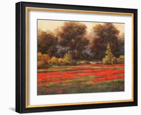 Poppy Meadows II-Tc Chiu-Framed Art Print