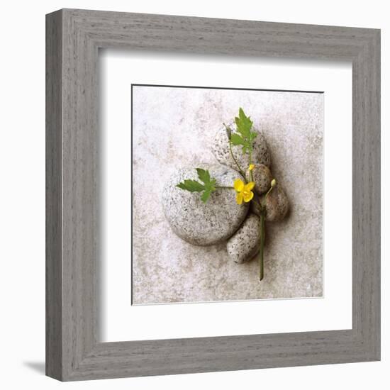 Poppy On Stone-Glen and Gayle Wans-Framed Giclee Print