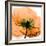 Poppy Orange-Albert Koetsier-Framed Photographic Print