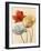 Poppy Palette II-null-Framed Art Print