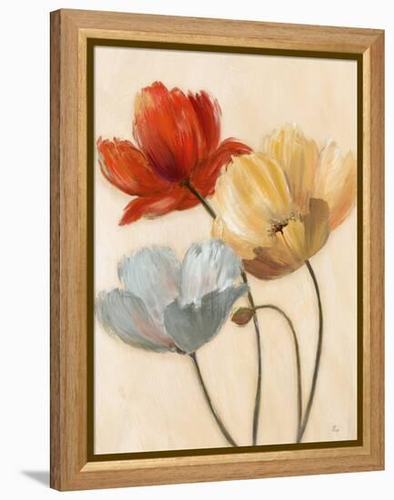 Poppy Palette II-null-Framed Stretched Canvas