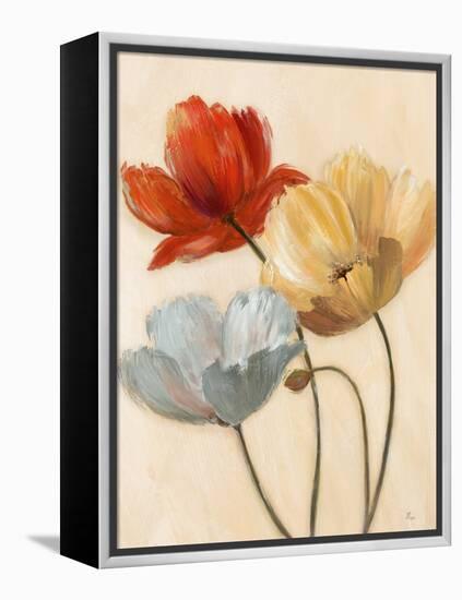 Poppy Palette II-null-Framed Stretched Canvas