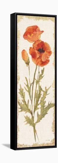 Poppy Panel Light-Cheri Blum-Framed Stretched Canvas