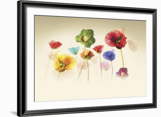 Poppy Panorama-Andreas Stridsberg-Framed Giclee Print