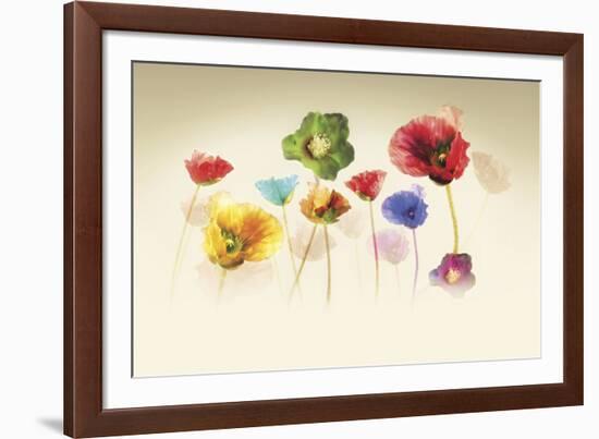 Poppy Panorama-Andreas Stridsberg-Framed Giclee Print