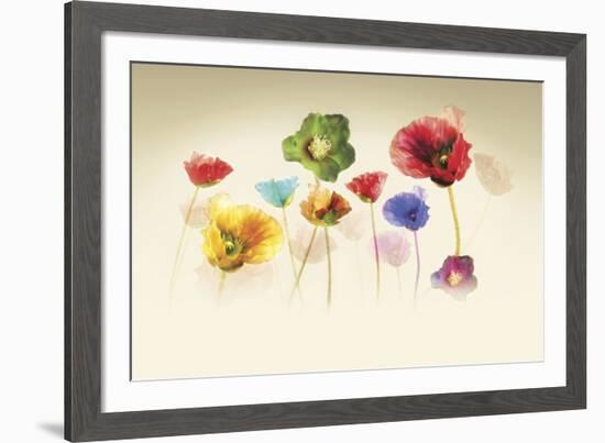 Poppy Panorama-Andreas Stridsberg-Framed Giclee Print