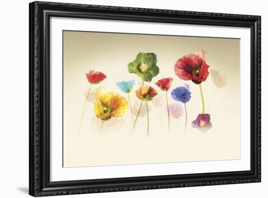 Poppy Panorama-Andreas Stridsberg-Framed Giclee Print