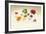 Poppy Panorama-Andreas Stridsberg-Framed Giclee Print