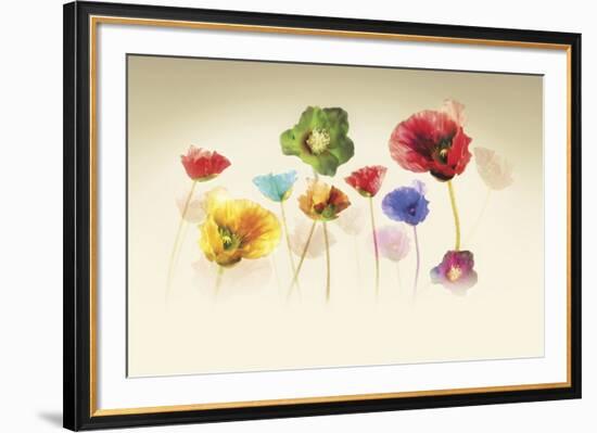 Poppy Panorama-Andreas Stridsberg-Framed Giclee Print