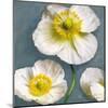 Poppy Parfait II-Janel Pahl-Mounted Art Print